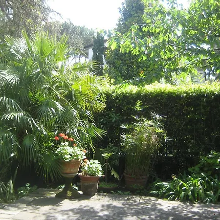 Feltran Forte dei Marmi